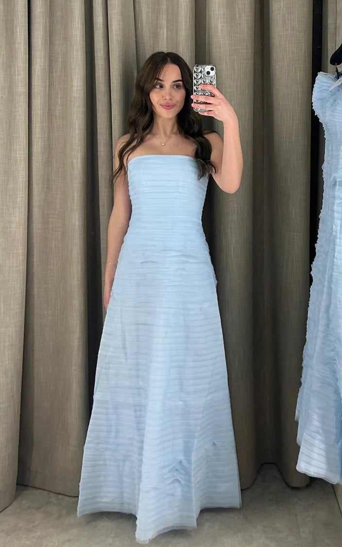 Soundscape Maxi Dress (Baby Blue)