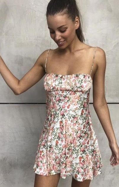 Camellia Delights Mini